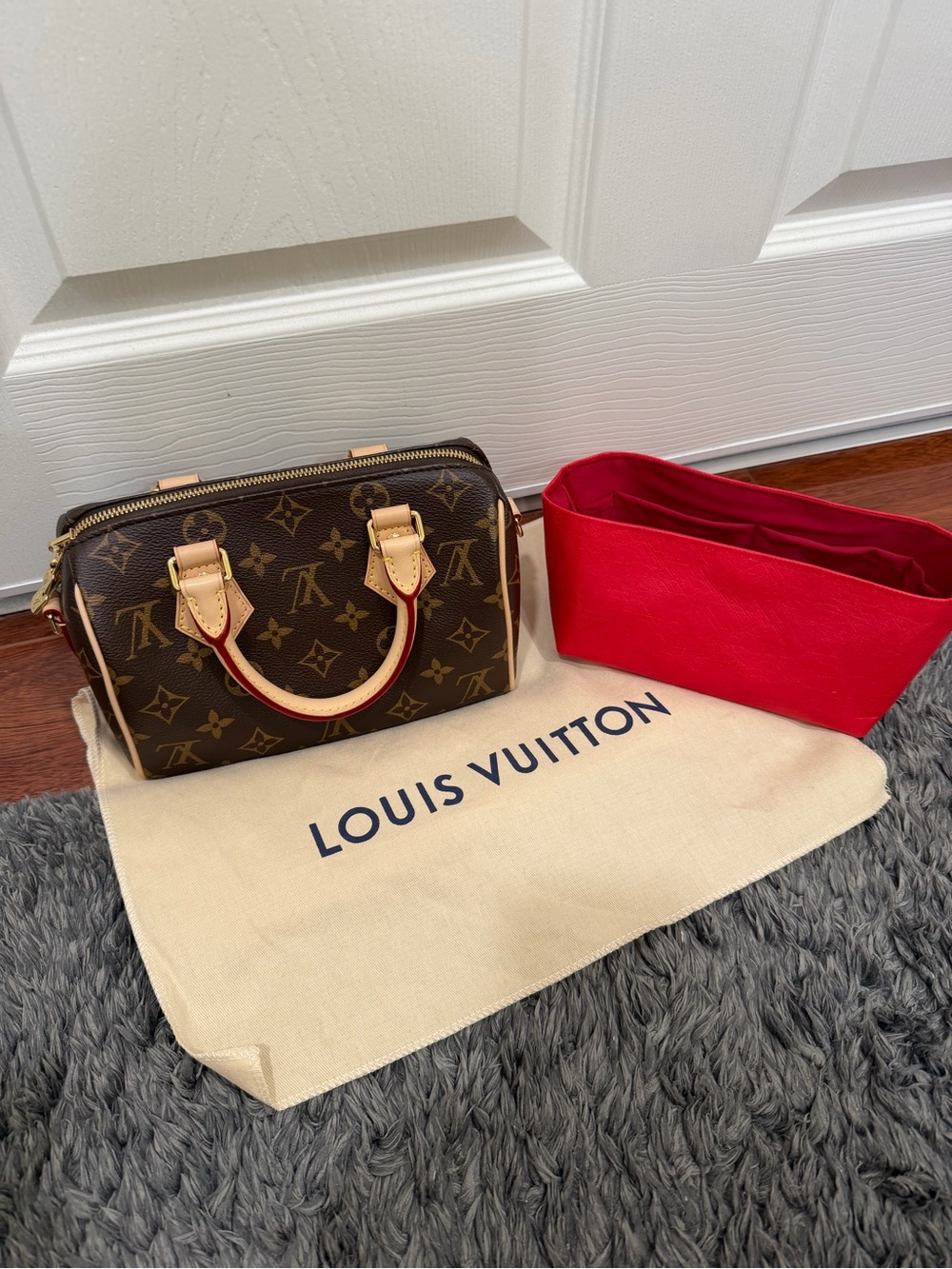 Louis Vuitton Speedy 20